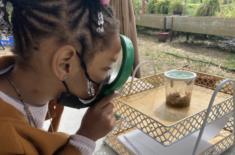 Reduce, Reuse, and Build - Children's Architecture Workshop