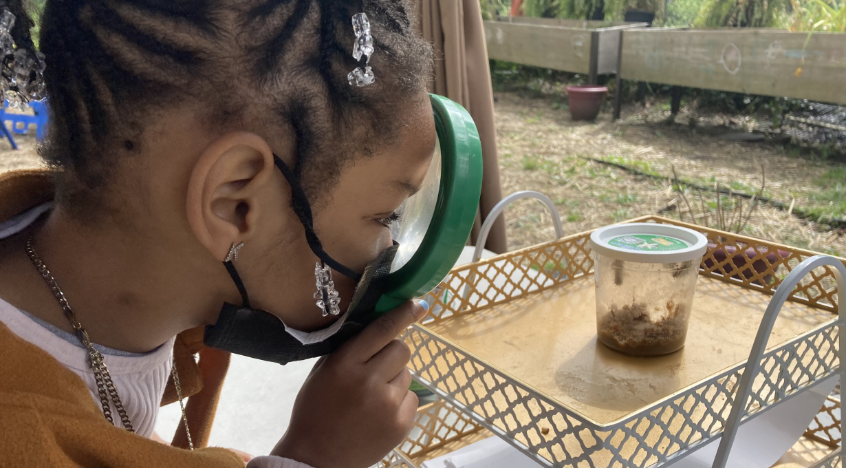 Reduce, Reuse, and Build - Children's Architecture Workshop